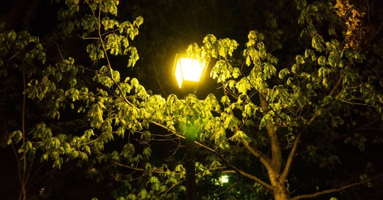 outdoor lighting post